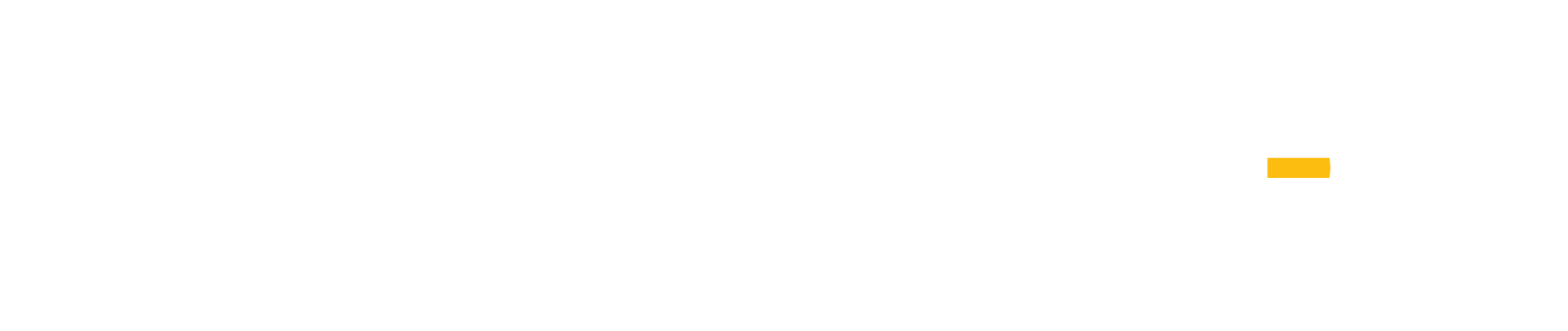 JanusID Logo